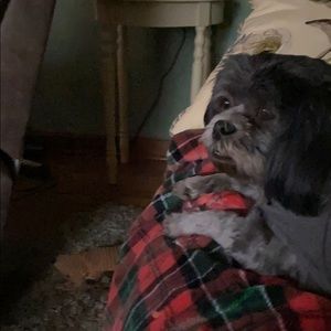 Meet your Posher, Elaine